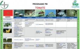 Programme IPM Tomate