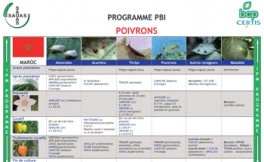 Programme IPM Poivrons